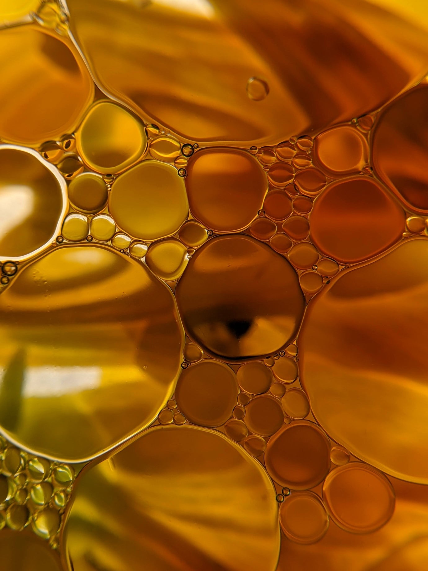 What Is Expeller Pressed Canola Oil?