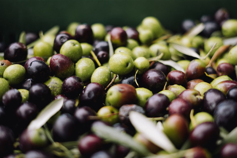 Huile d'olive extra vierge biologique