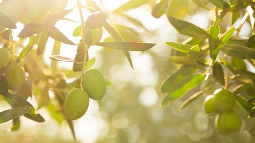 EVOO Meaning: What Does EVOO Stand For?