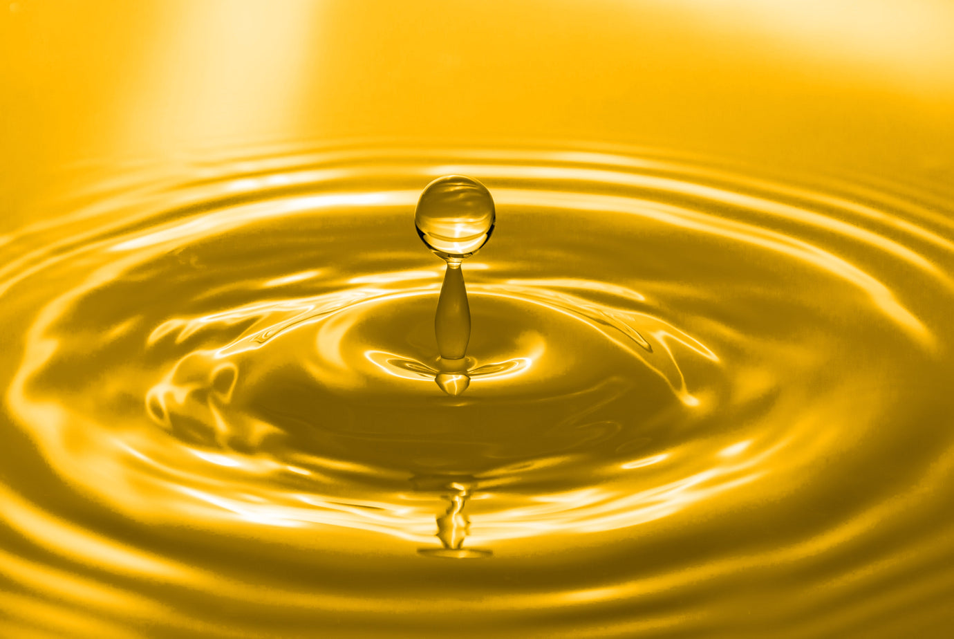 Is it Better to Cook With Olive Oil Over Vegetable Oil?