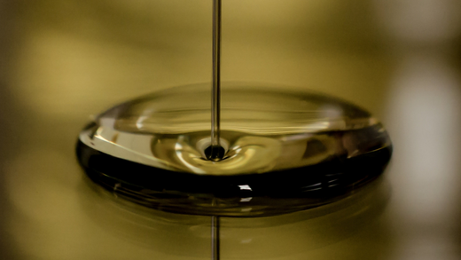 Can Vegetable Oil Substitute for Olive Oil?